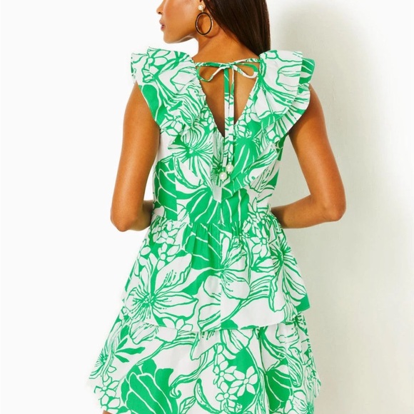Lilly Pulitzer Ritamarie Ruffle Dress - Picture 4 of 8